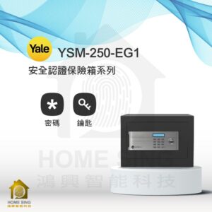 美國耶魯電子保險箱 YSM-250-EG1｜16kg 鑰匙/密碼保險箱