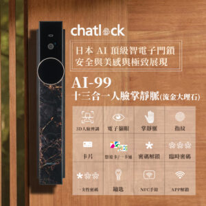 日本Chatlock電子鎖 AI-99 流金大理石｜人臉辨識 / 掌靜脈 / 電子貓眼 / 指紋 / APP解鎖開門